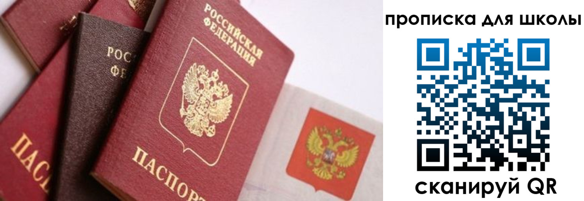 прописка поиск в Талице